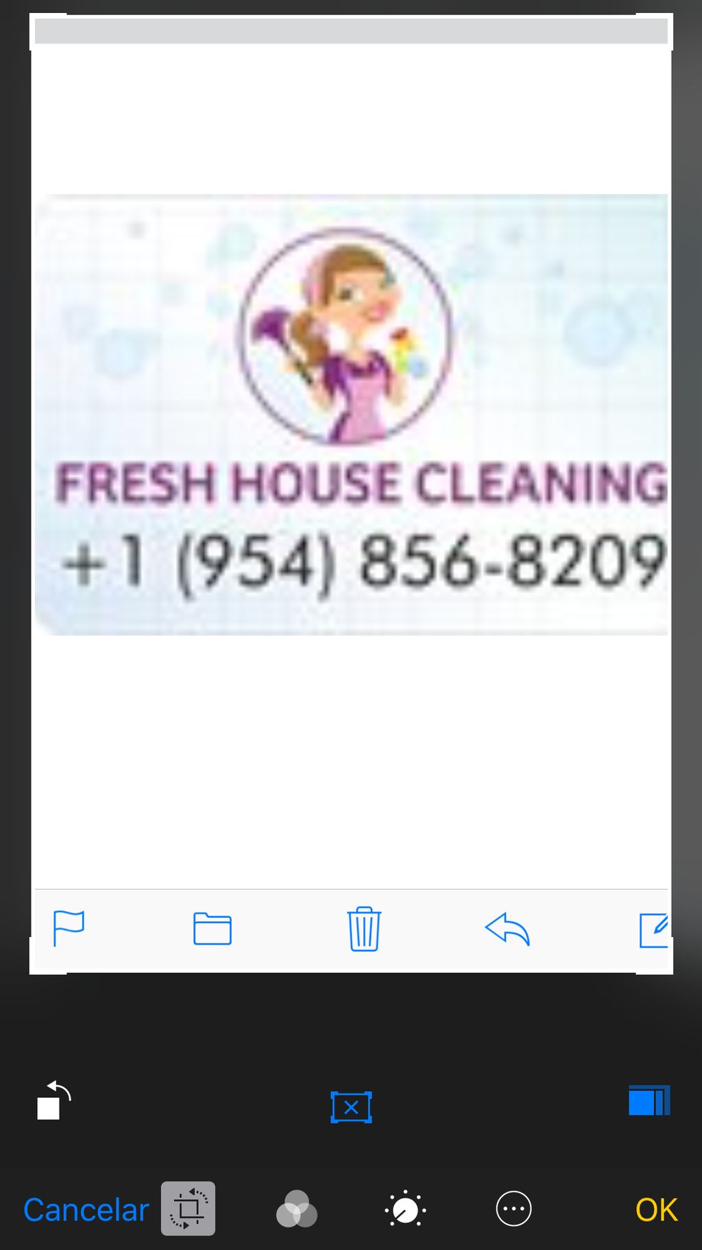 Fresh house cleaning