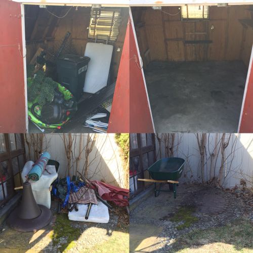 Shed and Yard Cleanout