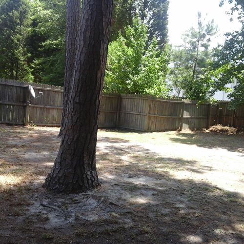 After picture of backyard cleanup project