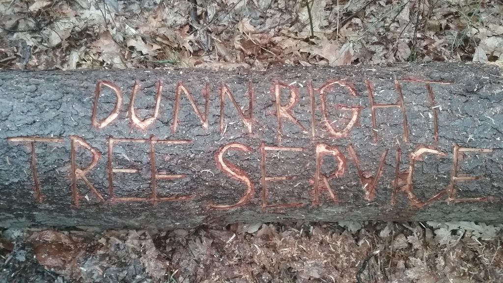 Dunn Right Tree service