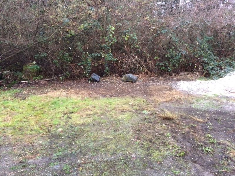 Backyard Cleanup - After -
Tumwater, 
2015