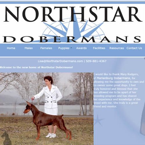 Northstar Dobermans Website Mockup