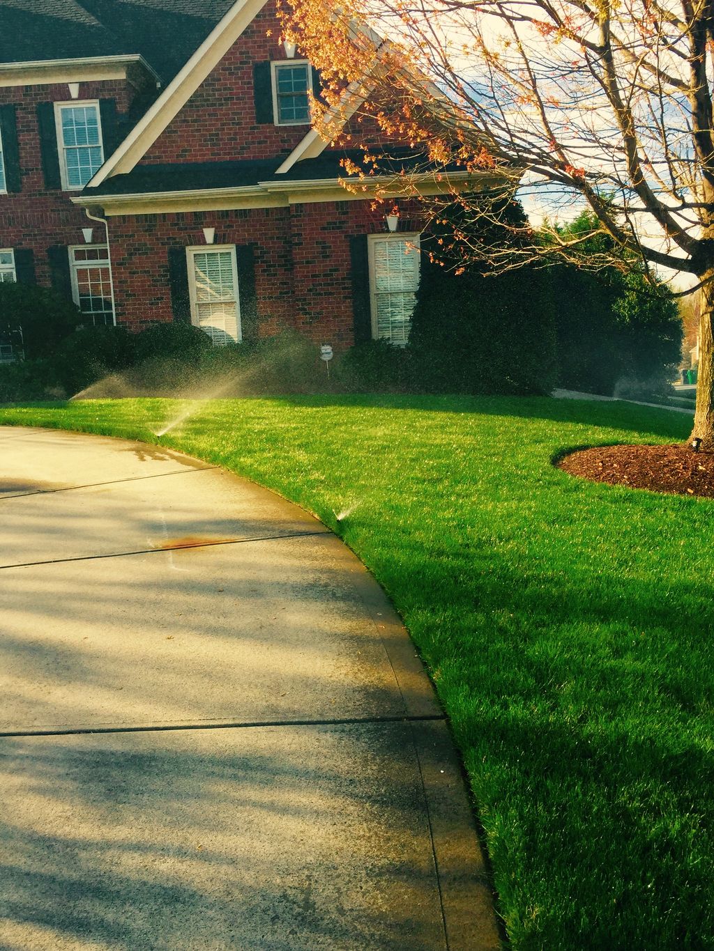 Irrigation Repairs.
