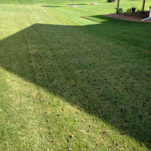 picture from ride-on lawn aerator for fall aeratio
