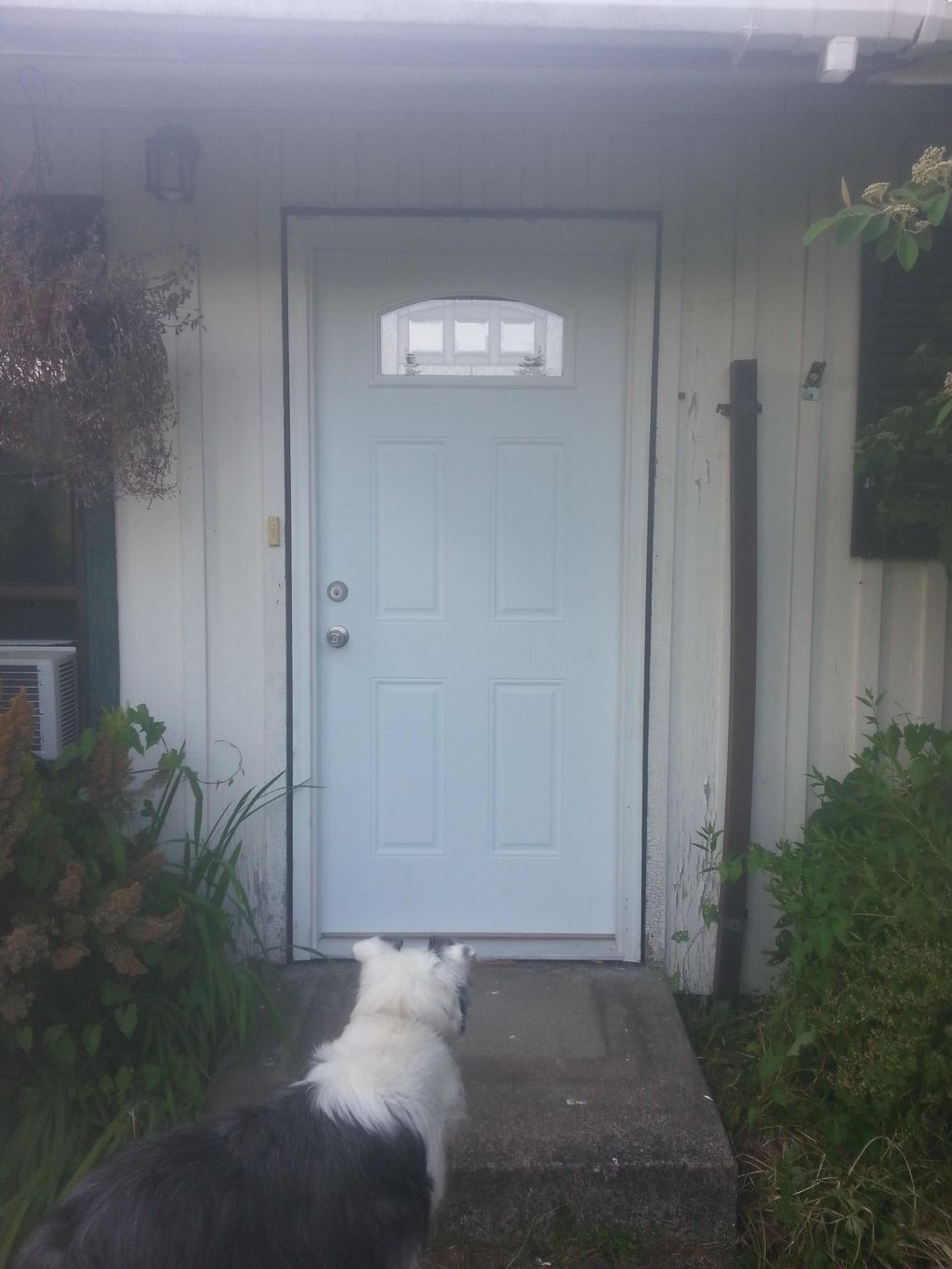 new entry door Installed 