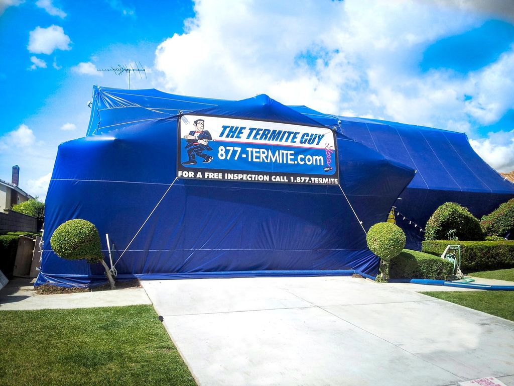 We give 5 year warranty on fumigation.