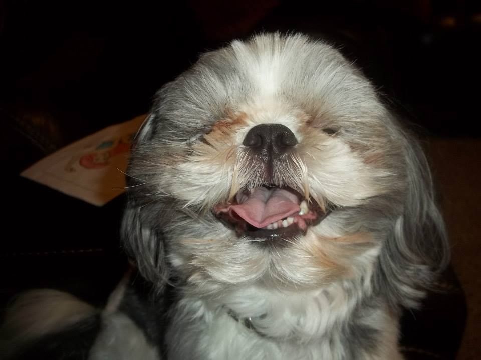 What a smile!