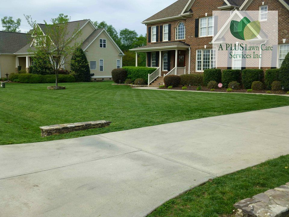 Lawn & Landscape Maintenance