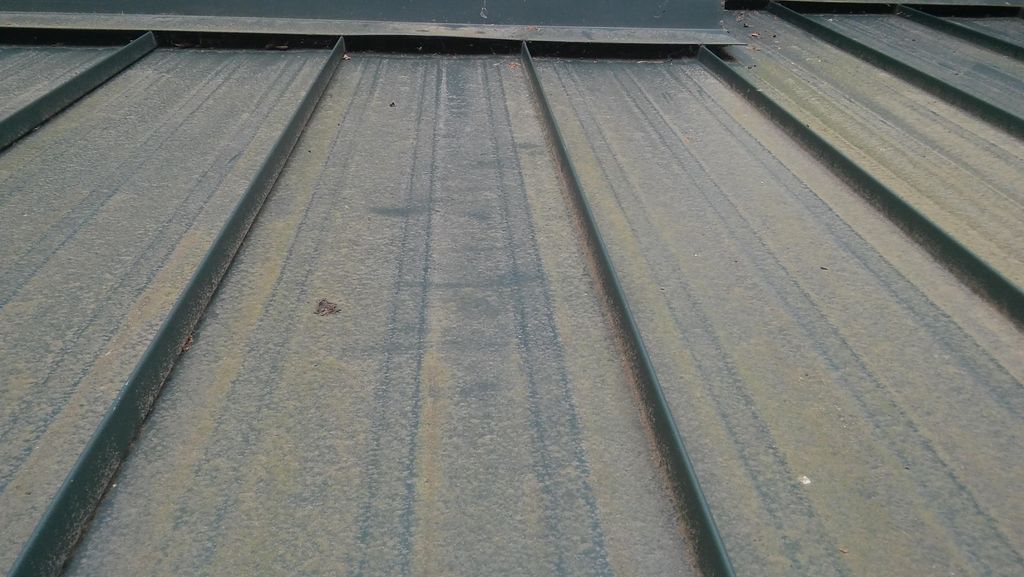 Algae built up over the winter on sheet metal awni