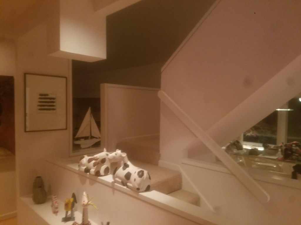 Full interior paint and decorate.