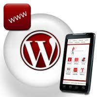 WordPress Website - Hosting and Monthly Maintenanc