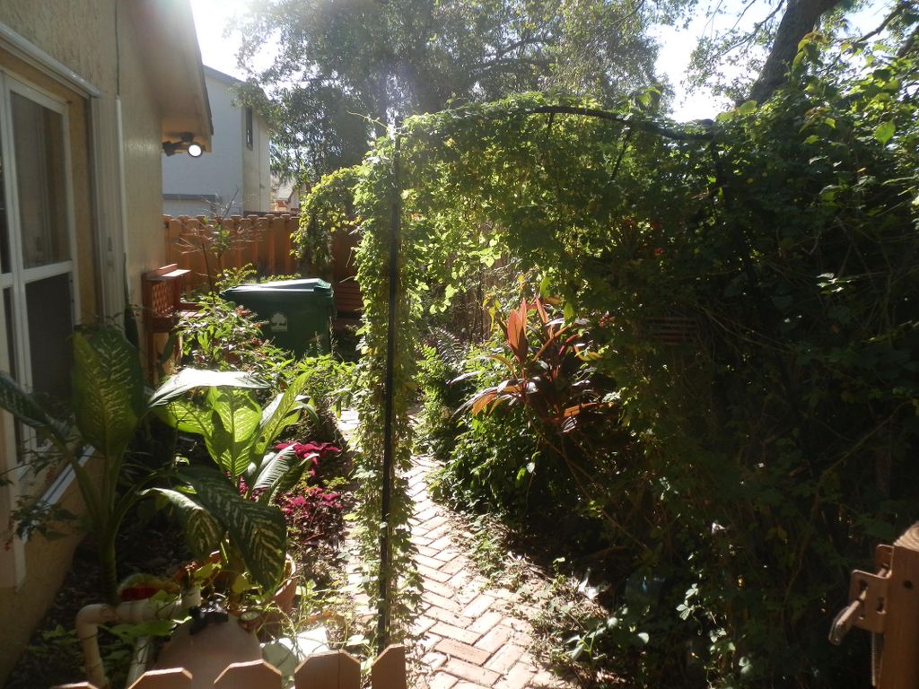 Weeding Project (BEFORE)