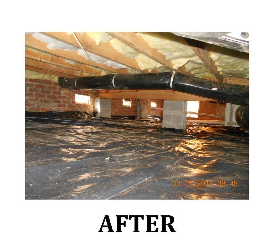Crawlspace - after remediation