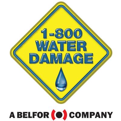Avatar for 1-800 Water Damage of SW Indiana