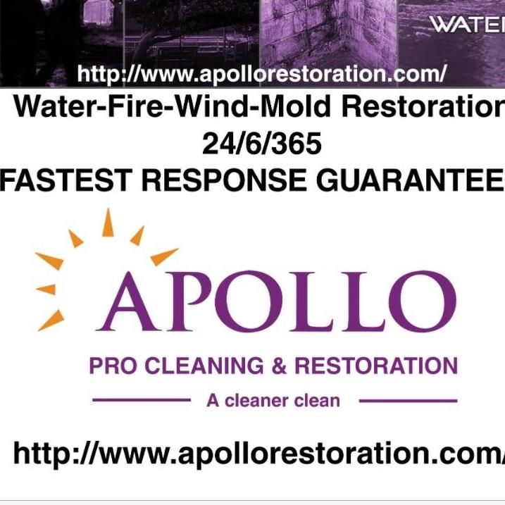 Apollo Pro Cleaning and Restoration