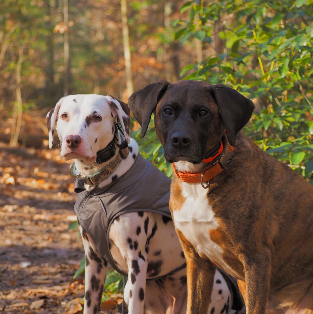 Sidney and Jameson posing during a hike.
