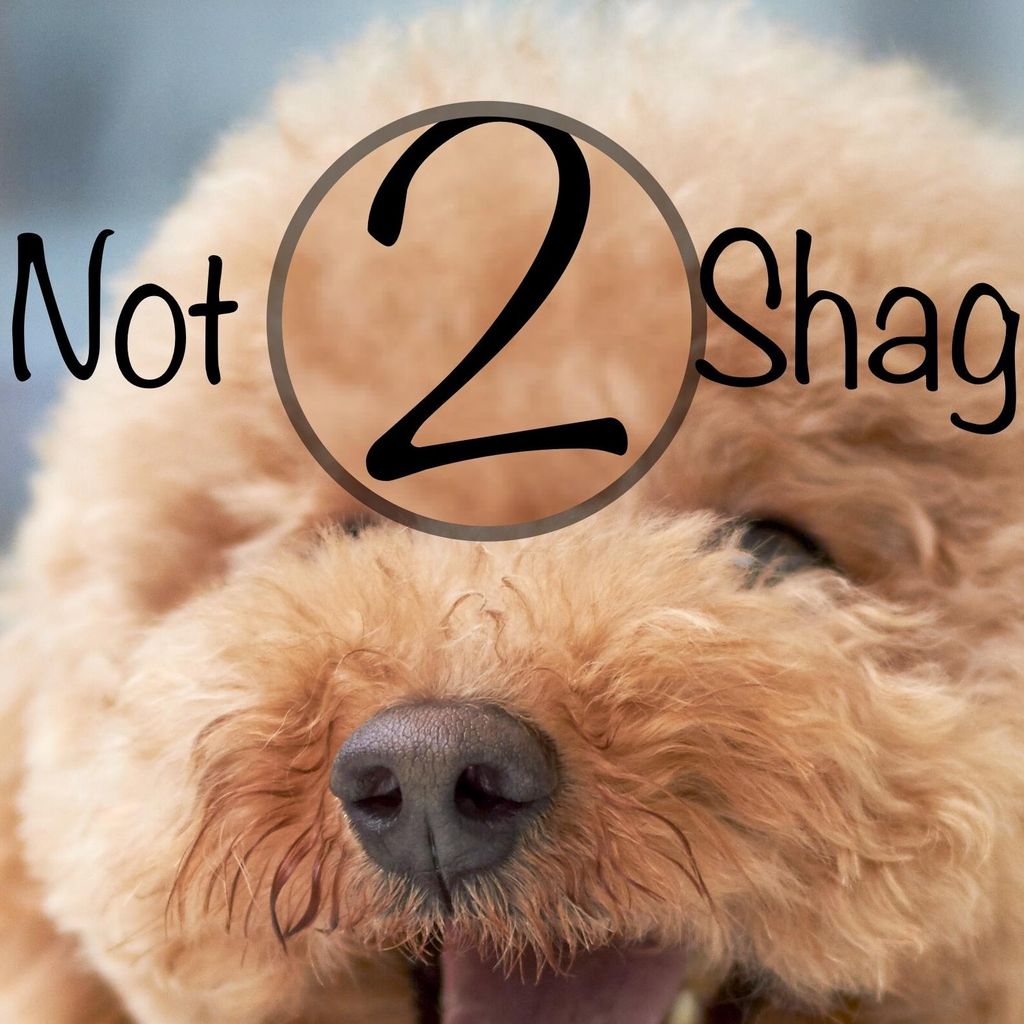 Not 2 Shaggy Housecall Dog Grooming
