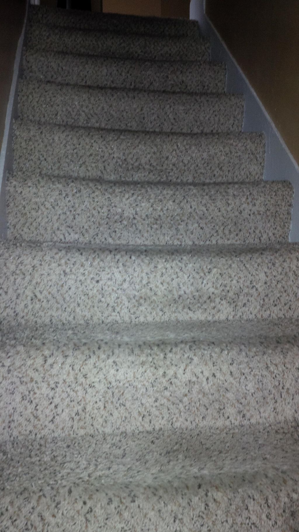 Before Carpet Cleaning