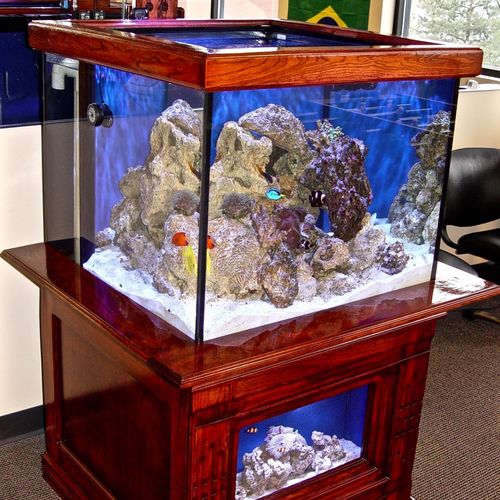 Here is a 90 Gallon, double level reef aquarium ha