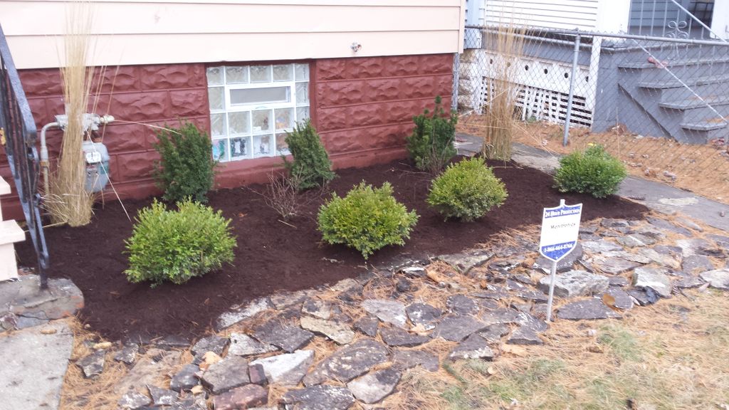 Landscaping in S. Chicago