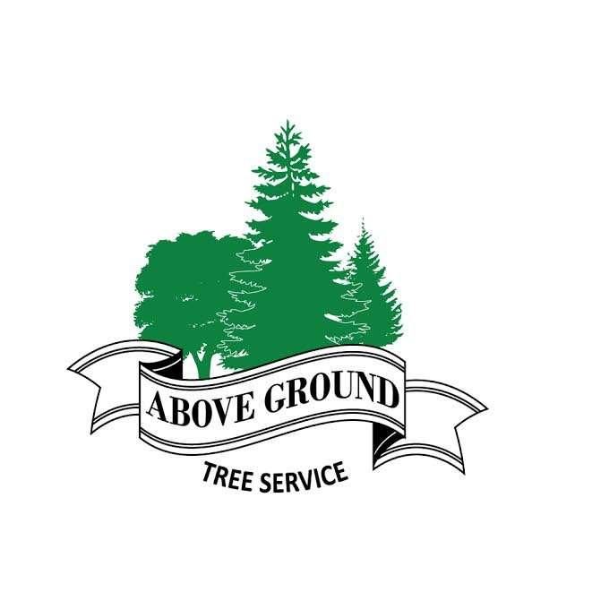 Above Ground Tree Service