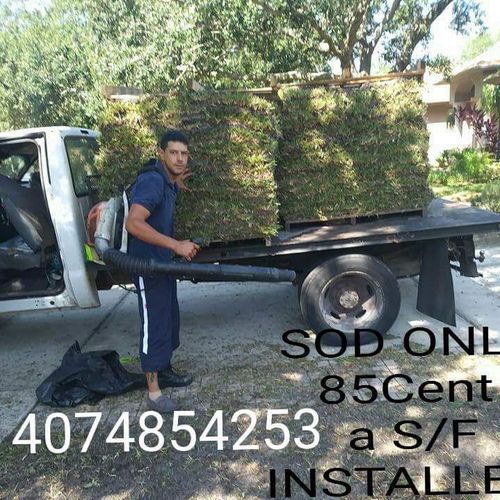 SOD DELIVERED& INSTALL 85 cent s/f