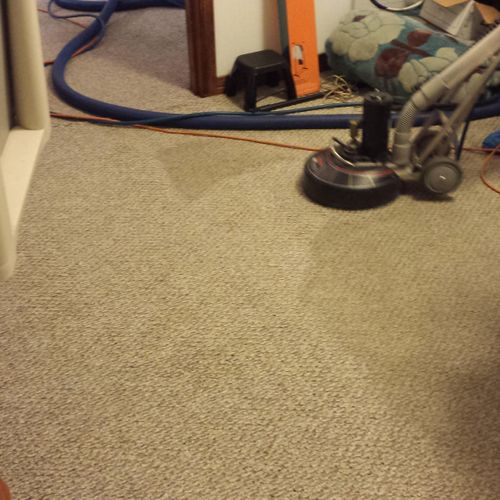 Carpet Cleaning Services by Sparky Carpet Cleaning