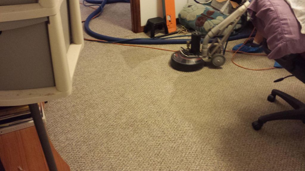 Carpet Cleaning Services by Sparky Carpet Cleaning