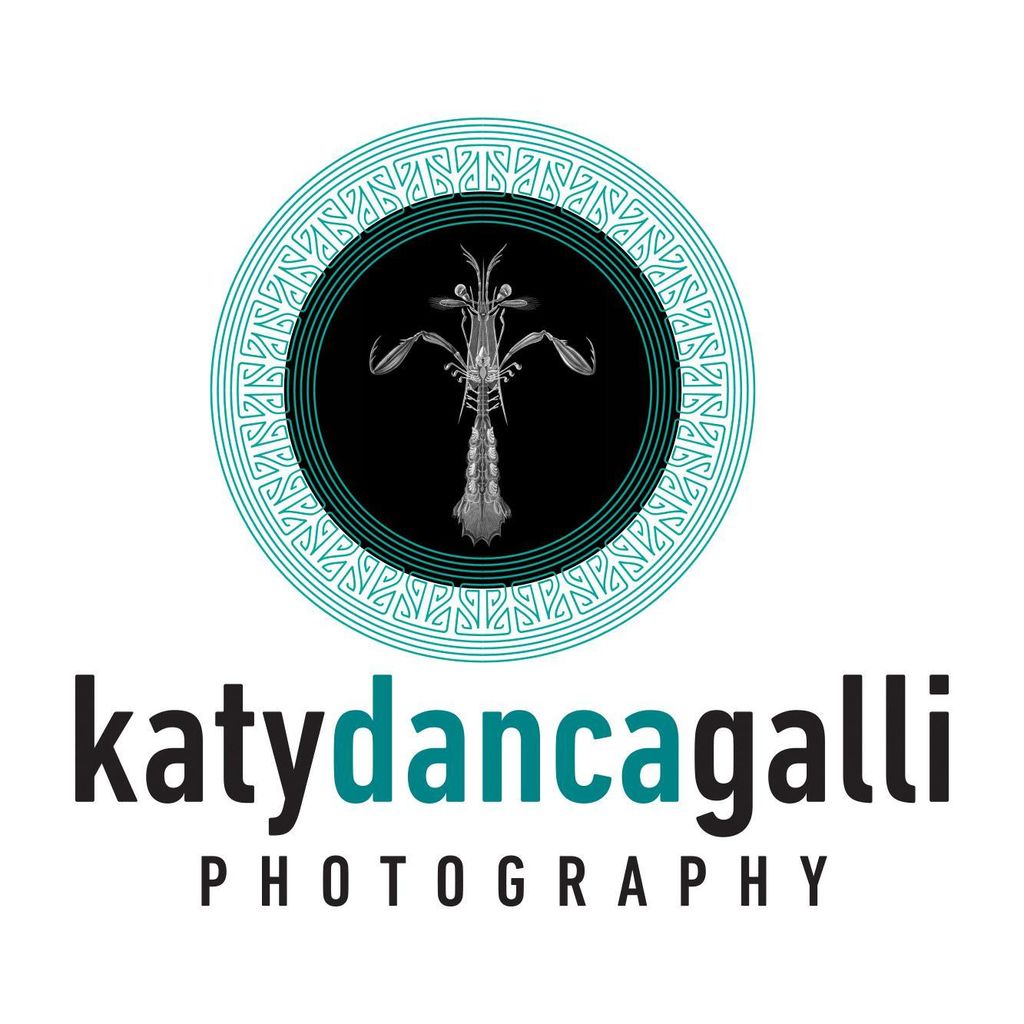 Katy Danca Galli Photography