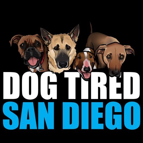 High Energy Dog Walking San Diego