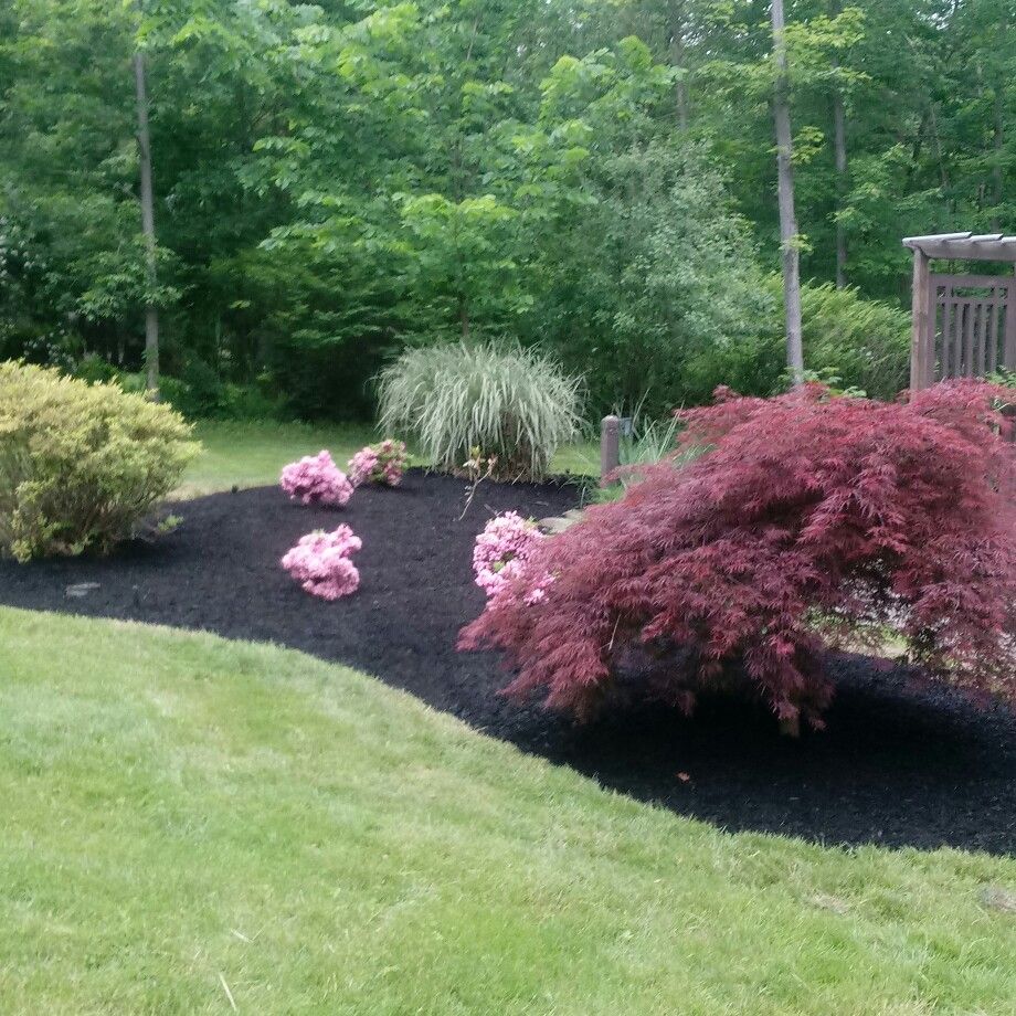 Alexander Landscaping