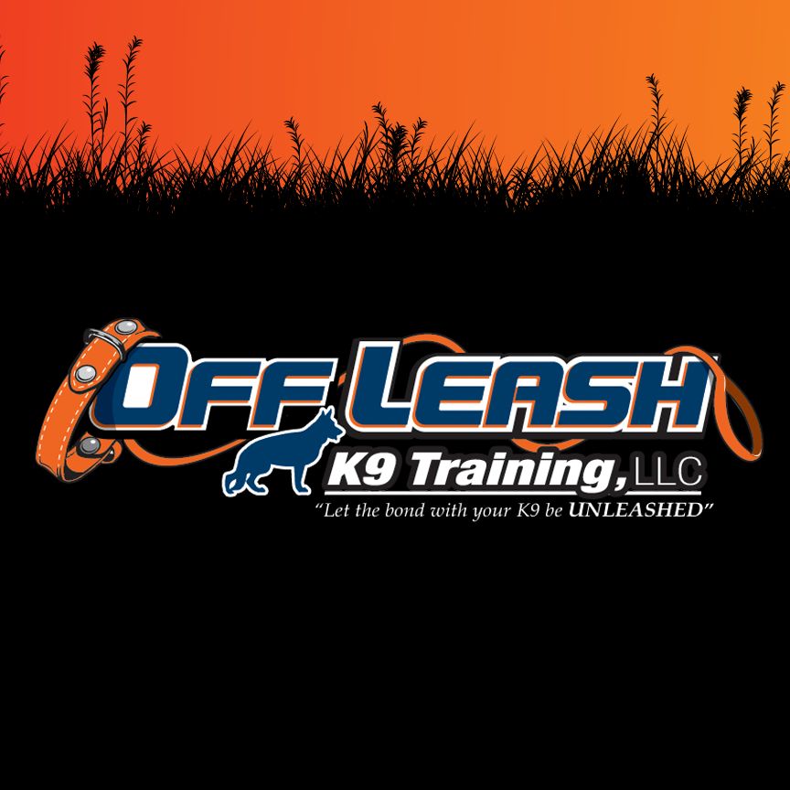 Off Leash K9 Training Charlotte