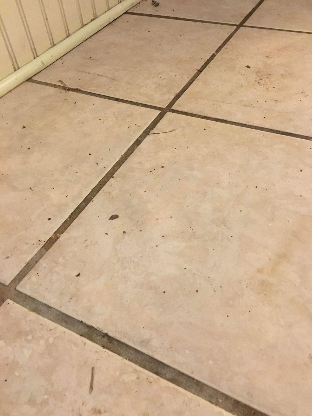 Tile and grout cleaning