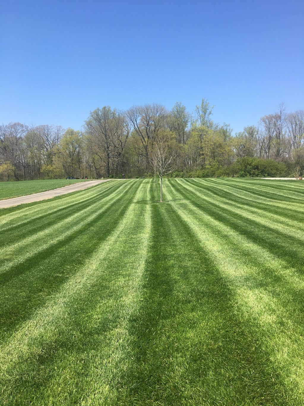 Serious stripes!