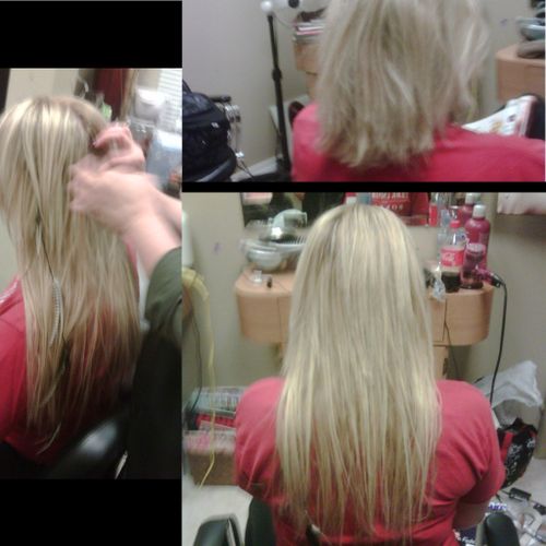 22" Fusion Extensions by Donna LiAne / Color by As