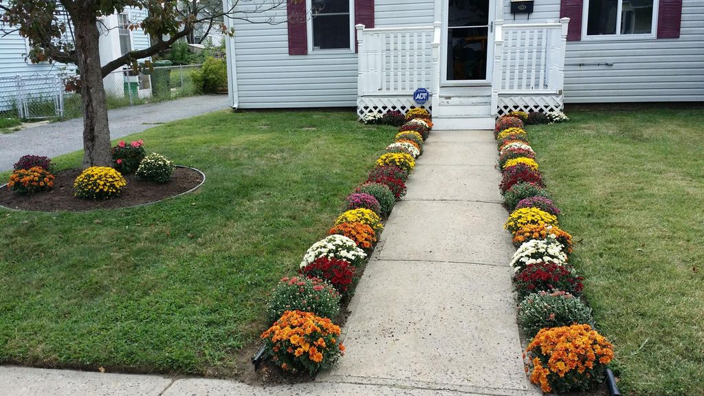 We can make any house " POP "with color  all year 