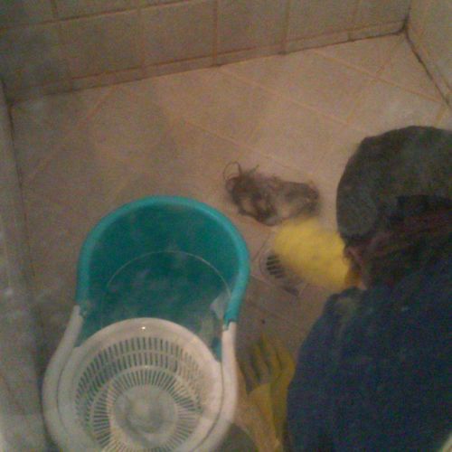 Cleaning hair out of shower drain