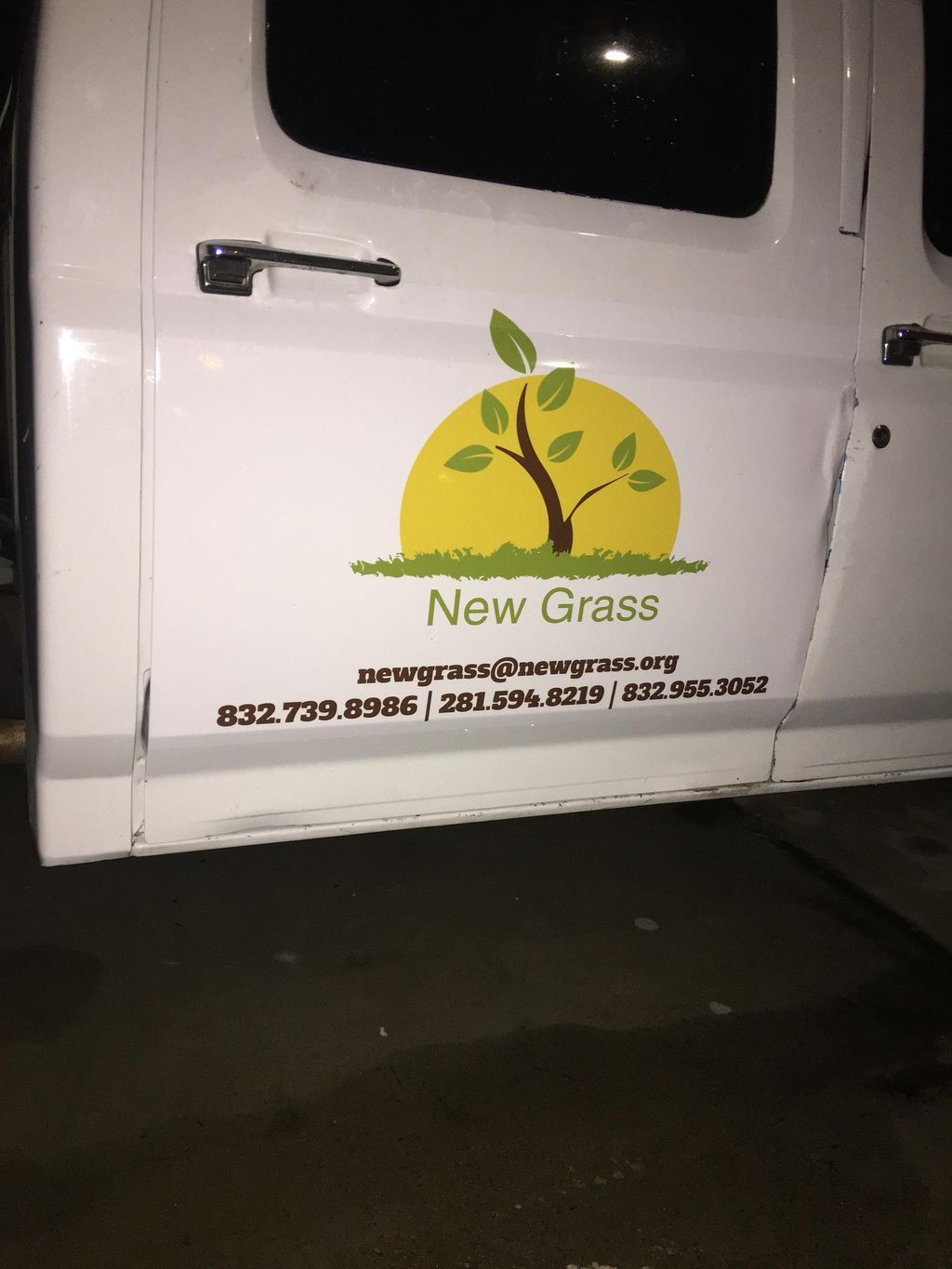 New Grass