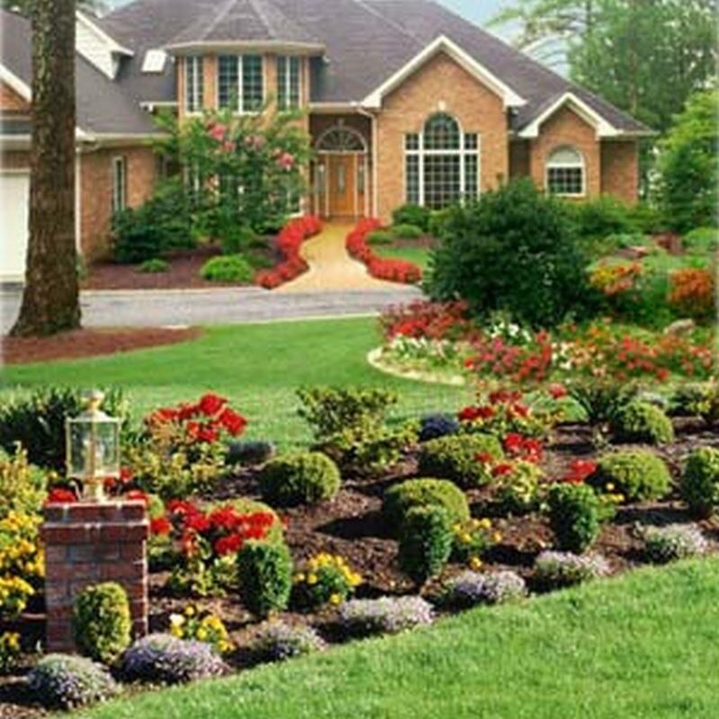 Fuentes Tree Services & Landscaping