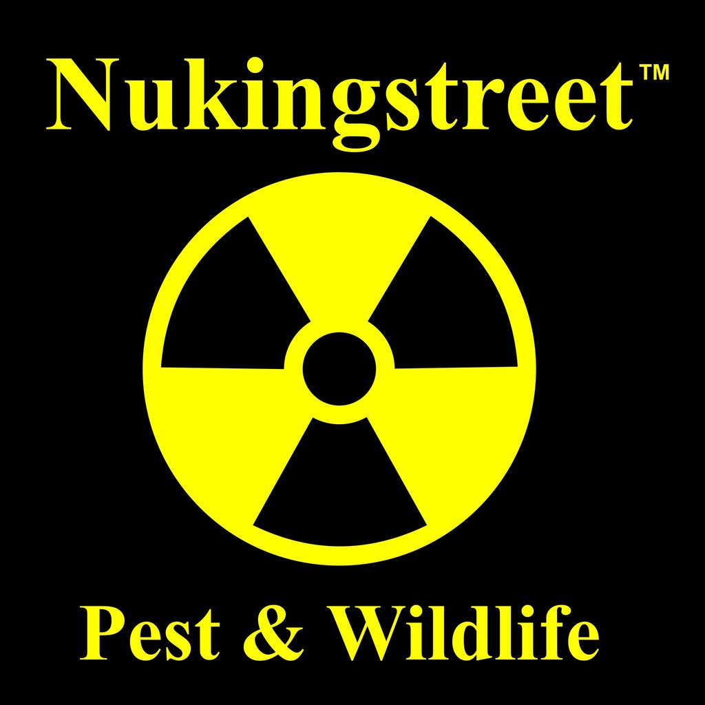 Nukingstreet Pest & Wildlife Control LLC