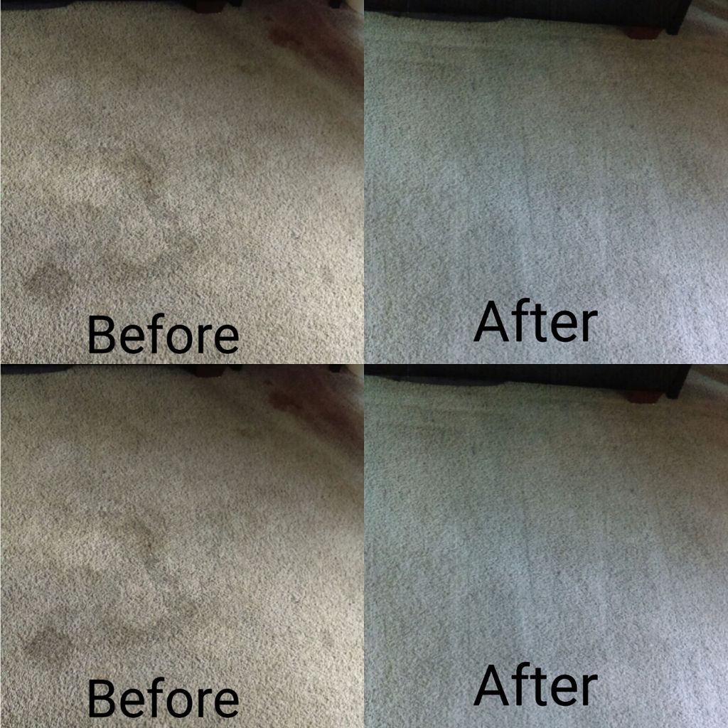 carpet cleaning 