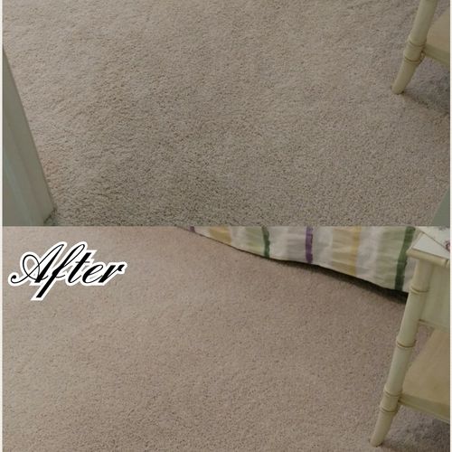 Make your carpets come back to life!