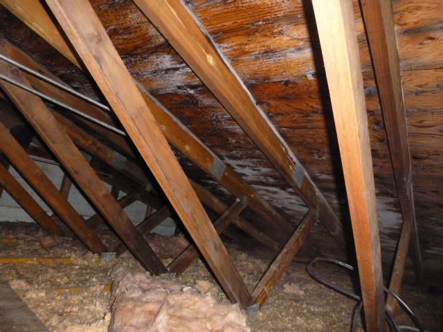 Check out the widespread moisture staining on the 