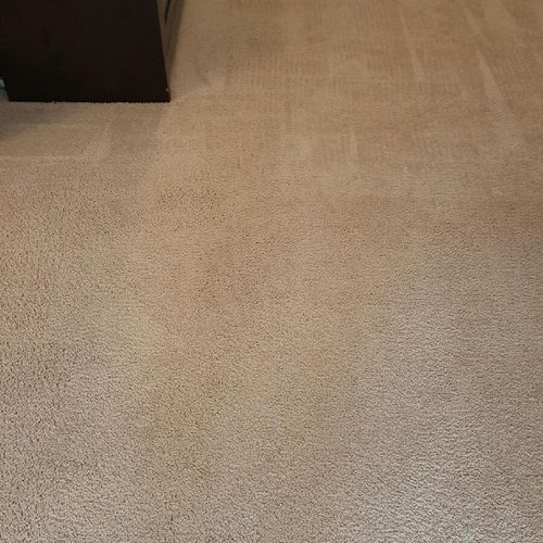 After Deep cleaning with Spiker Carpet and Tile ca
