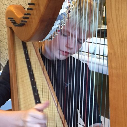 Harp is an excellent instrument for kids who know 