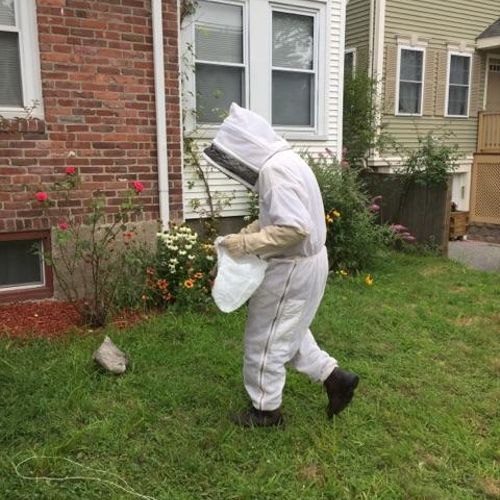 Personal bee protection equipment