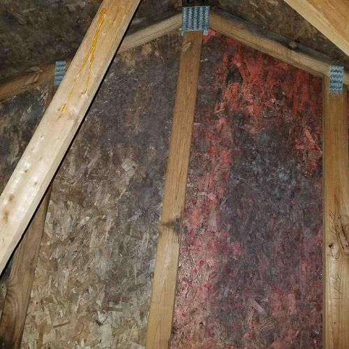 Mold in attic before