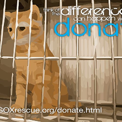 Donation lead advertisement for SOXrescue.org