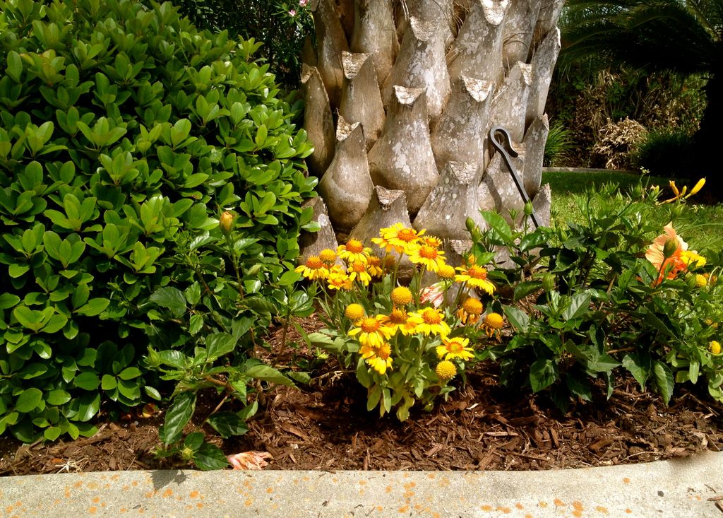 Get ready for summer:  sod, clean up, mulching, tr