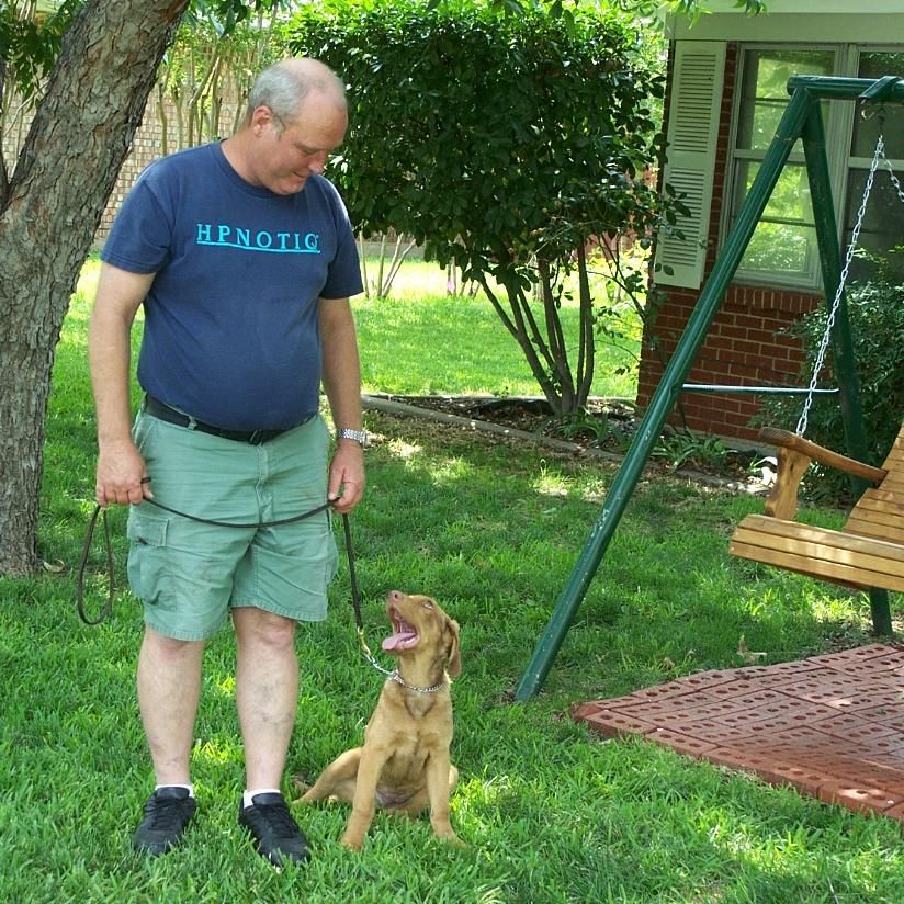 Bill Whatley's Dog Training Service